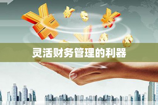 壮围灵活财务管理的利器