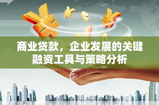 壮围商业贷款，企业发展的关键融资工具与策略分析