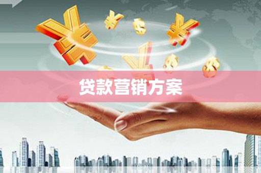 壮围贷款营销方案