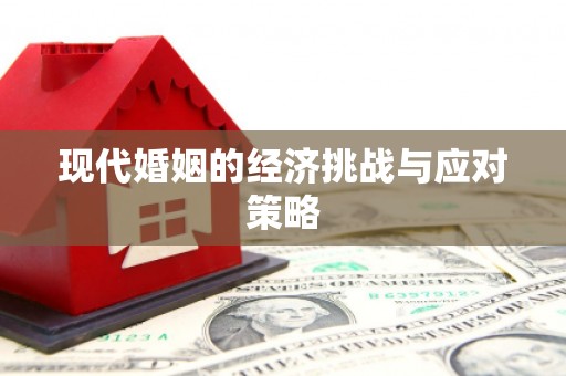 壮围现代婚姻的经济挑战与应对策略