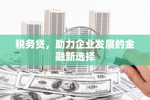 壮围税务贷，助力企业发展的金融新选择