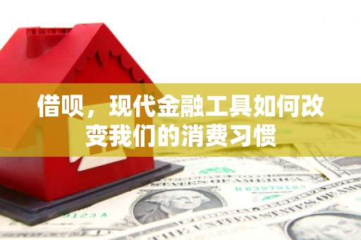 壮围借呗，现代金融工具如何改变我们的消费习惯