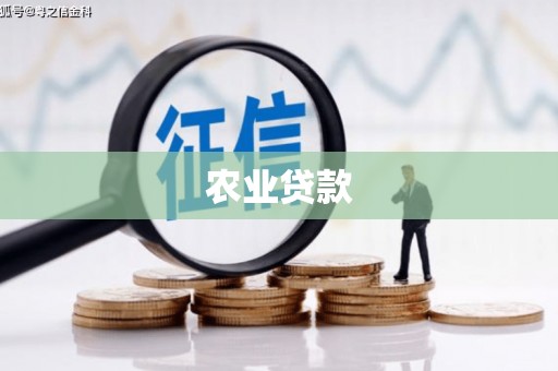 壮围农业贷款
