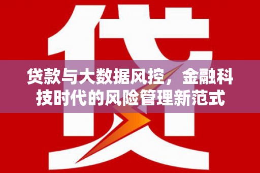 壮围贷款与大数据风控，金融科技时代的风险管理新范式