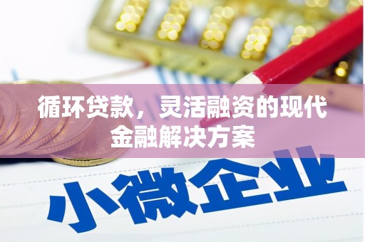 壮围循环贷款，灵活融资的现代金融解决方案