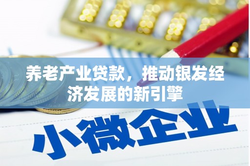 壮围养老产业贷款，推动银发经济发展的新引擎