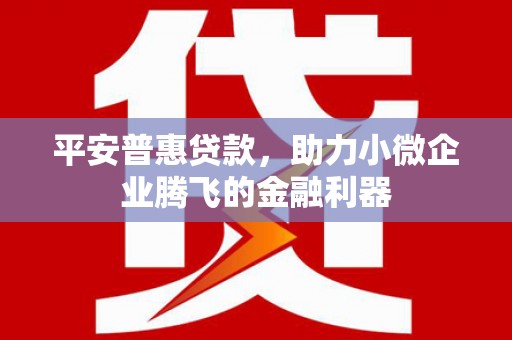 壮围平安普惠贷款，助力小微企业腾飞的金融利器