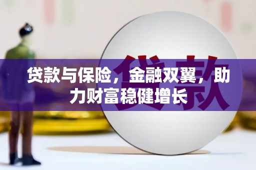 壮围贷款与保险，金融双翼，助力财富稳健增长