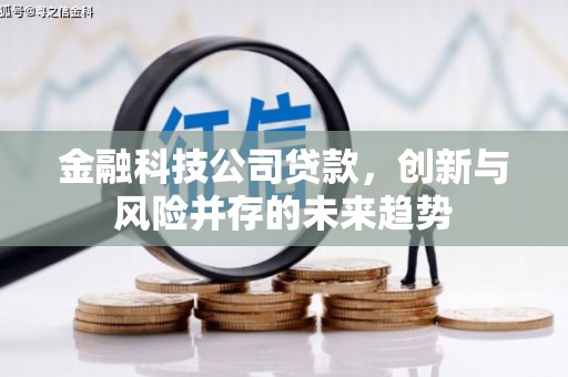 壮围金融科技公司贷款，创新与风险并存的未来趋势