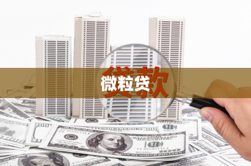 壮围微粒贷
