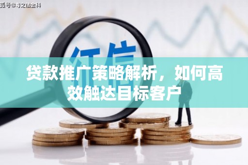 壮围贷款推广策略解析，如何高效触达目标客户
