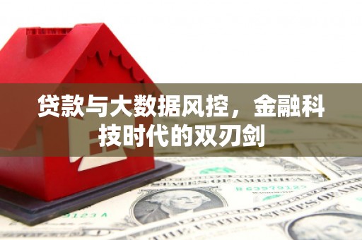 壮围贷款与大数据风控，金融科技时代的双刃剑
