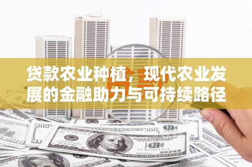 壮围贷款农业种植，现代农业发展的金融助力与可持续路径