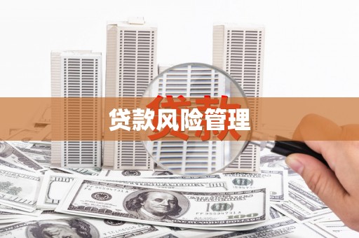 壮围贷款风险管理