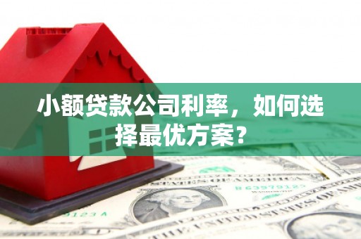 壮围小额贷款公司利率，如何选择最优方案？