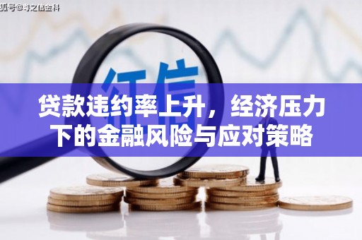 壮围贷款违约率上升，经济压力下的金融风险与应对策略