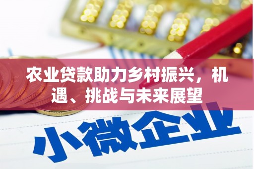 壮围农业贷款助力乡村振兴，机遇、挑战与未来展望