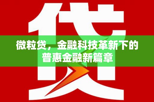壮围微粒贷，金融科技革新下的普惠金融新篇章