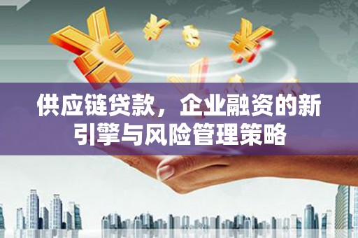 壮围供应链贷款，企业融资的新引擎与风险管理策略