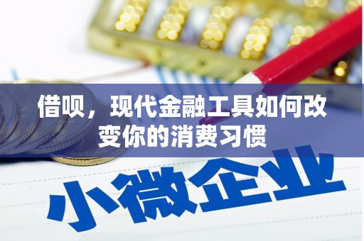壮围借呗，现代金融工具如何改变你的消费习惯