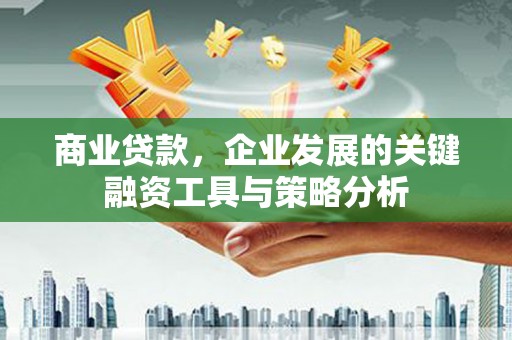 壮围商业贷款，企业发展的关键融资工具与策略分析