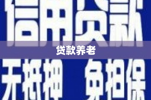 壮围贷款养老