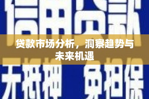 壮围贷款市场分析，洞察趋势与未来机遇
