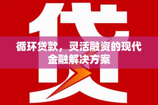 壮围循环贷款，灵活融资的现代金融解决方案