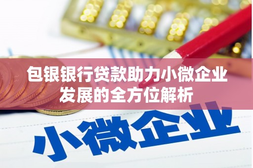 壮围包银银行贷款助力小微企业发展的全方位解析