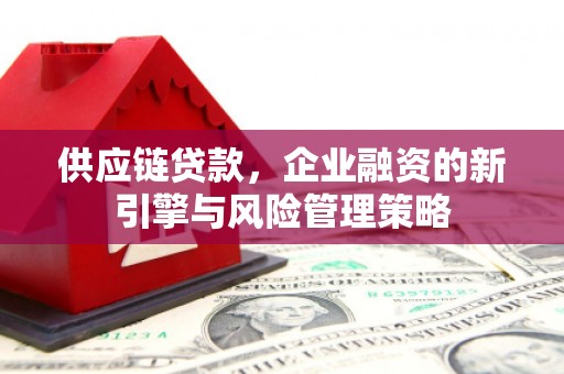 壮围供应链贷款，企业融资的新引擎与风险管理策略