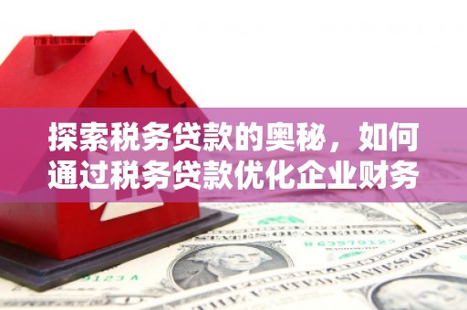 壮围探索税务贷款的奥秘，如何通过税务贷款优化企业财务