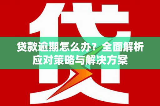 壮围贷款逾期怎么办？全面解析应对策略与解决方案