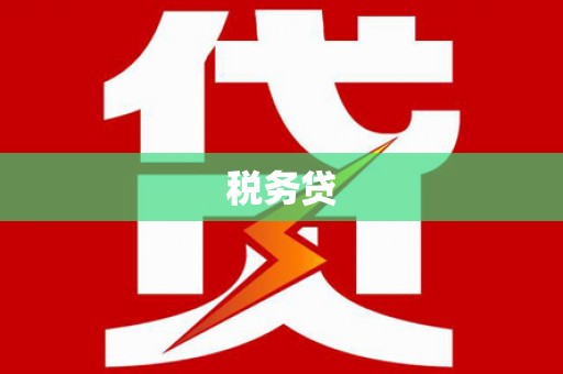 壮围税务贷