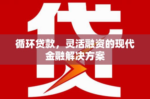 壮围循环贷款，灵活融资的现代金融解决方案