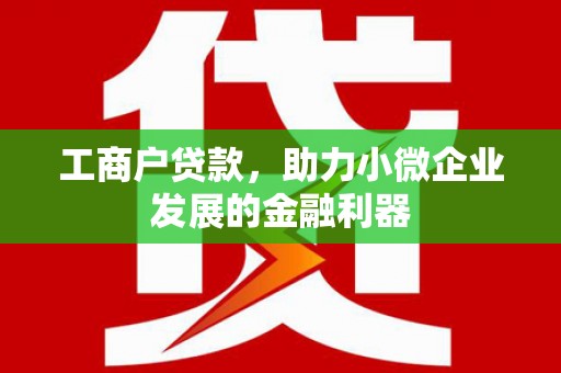 壮围工商户贷款，助力小微企业发展的金融利器
