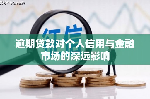 壮围逾期贷款对个人信用与金融市场的深远影响