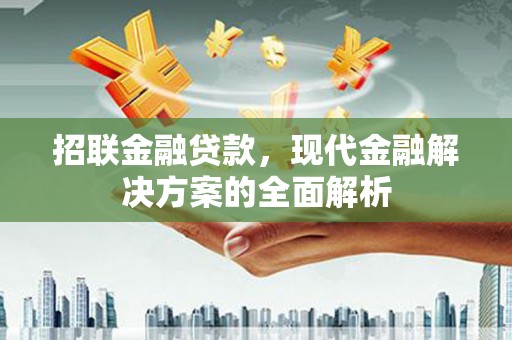 壮围招联金融贷款，现代金融解决方案的全面解析