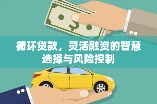 壮围循环贷款，灵活融资的智慧选择与风险控制