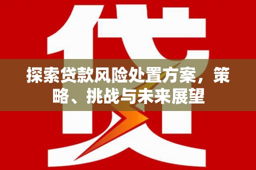 壮围探索贷款风险处置方案，策略、挑战与未来展望