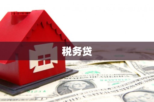 壮围税务贷