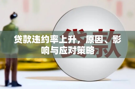 壮围贷款违约率上升，原因、影响与应对策略