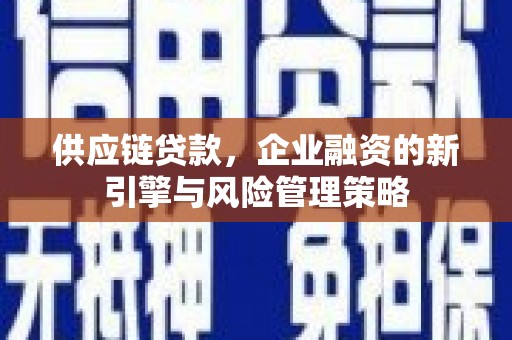 壮围供应链贷款，企业融资的新引擎与风险管理策略