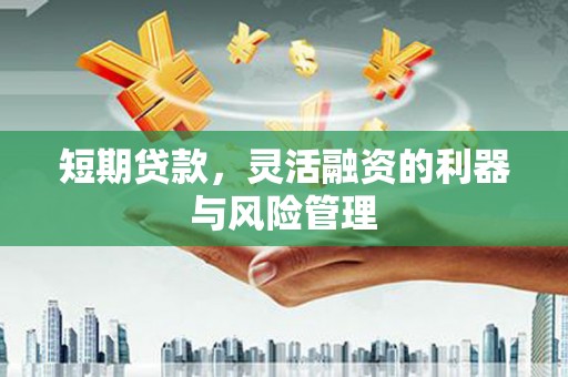 壮围短期贷款，灵活融资的利器与风险管理