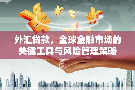 壮围外汇贷款，全球金融市场的关键工具与风险管理策略