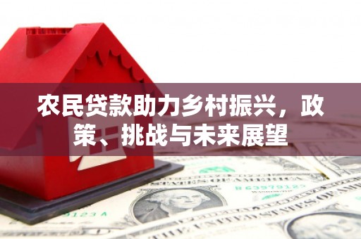 壮围农民贷款助力乡村振兴，政策、挑战与未来展望