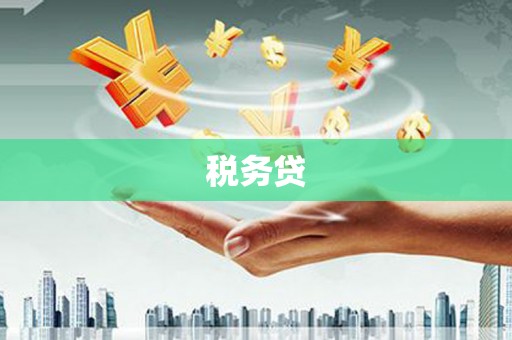 壮围税务贷