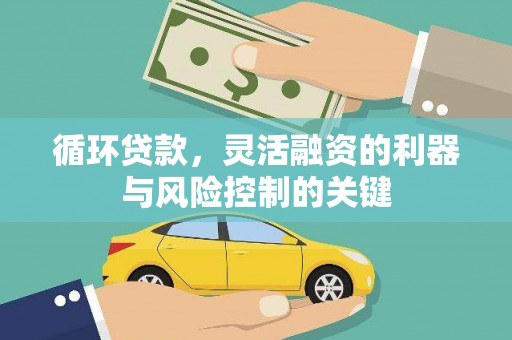 壮围循环贷款，灵活融资的利器与风险控制的关键
