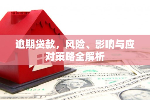 壮围逾期贷款，风险、影响与应对策略全解析