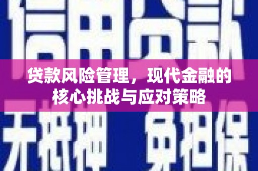壮围贷款风险管理，现代金融的核心挑战与应对策略