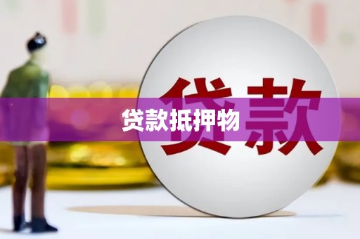 壮围贷款抵押物